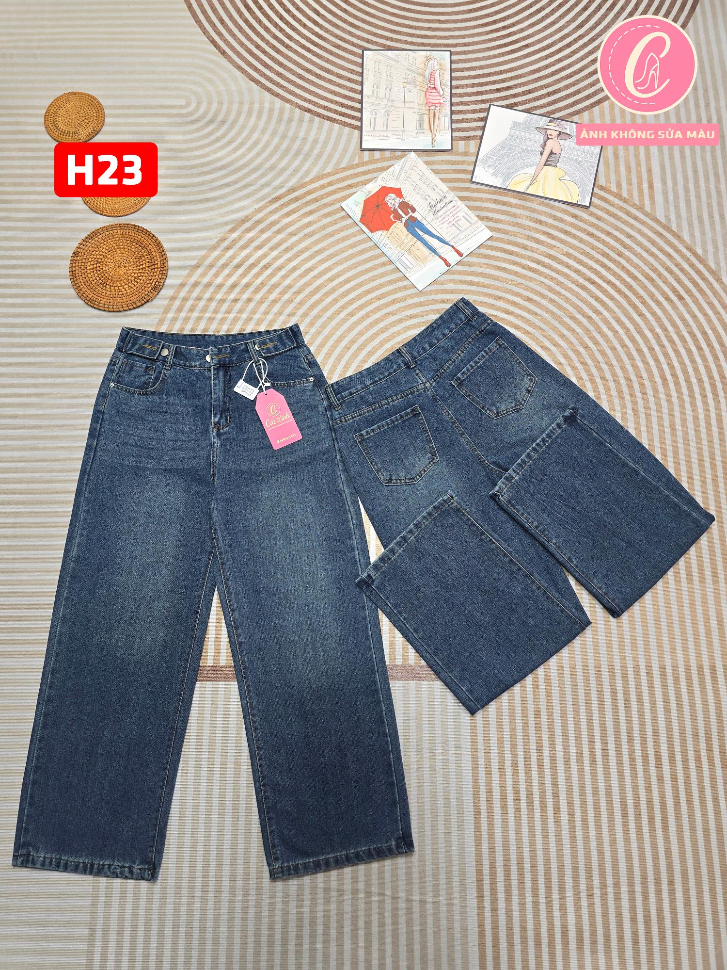 H23